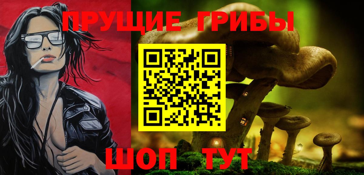 купить наркоту  Псилоцибиновые грибы мицелий  Галлюциногенные грибы Psilocybine cubensis  Вход с VPN  Сальск 